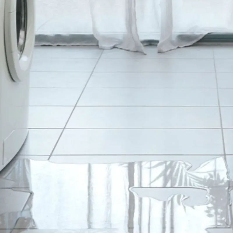 Appliance Leak Cleanup in Lake Sarasota, FL