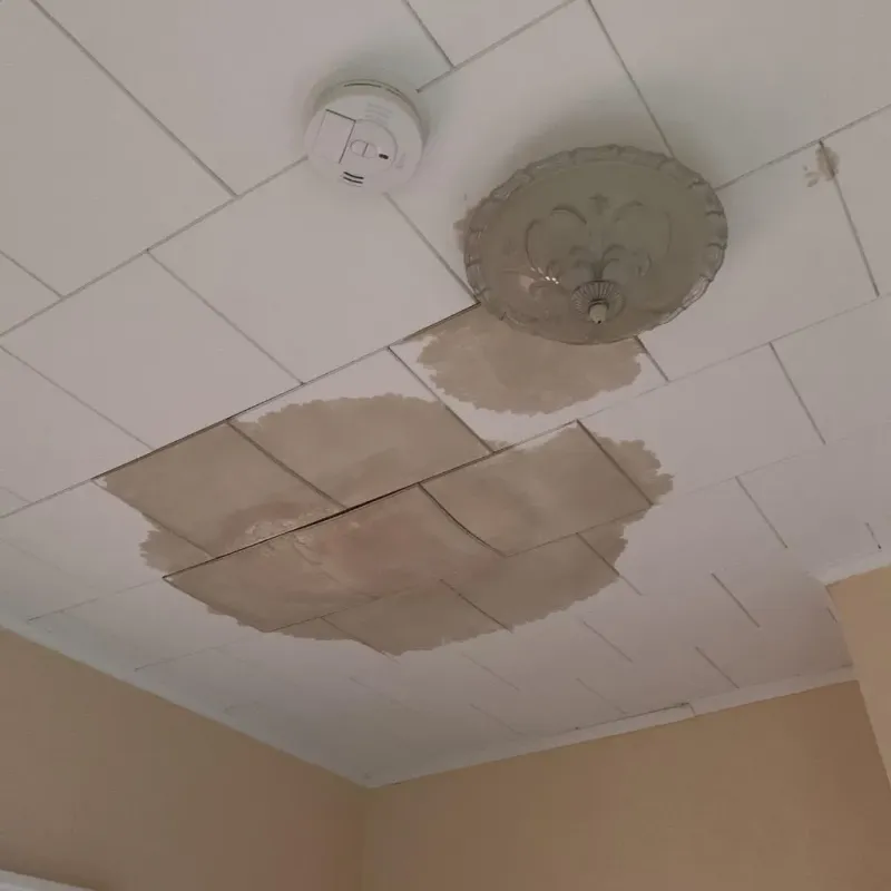 Ceiling Water Damage Repair in Lake Sarasota, FL