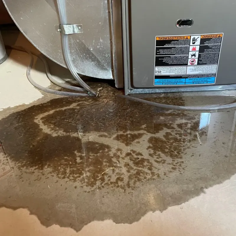 Pipe Burst and Leak Restoration in Lake Sarasota, FL