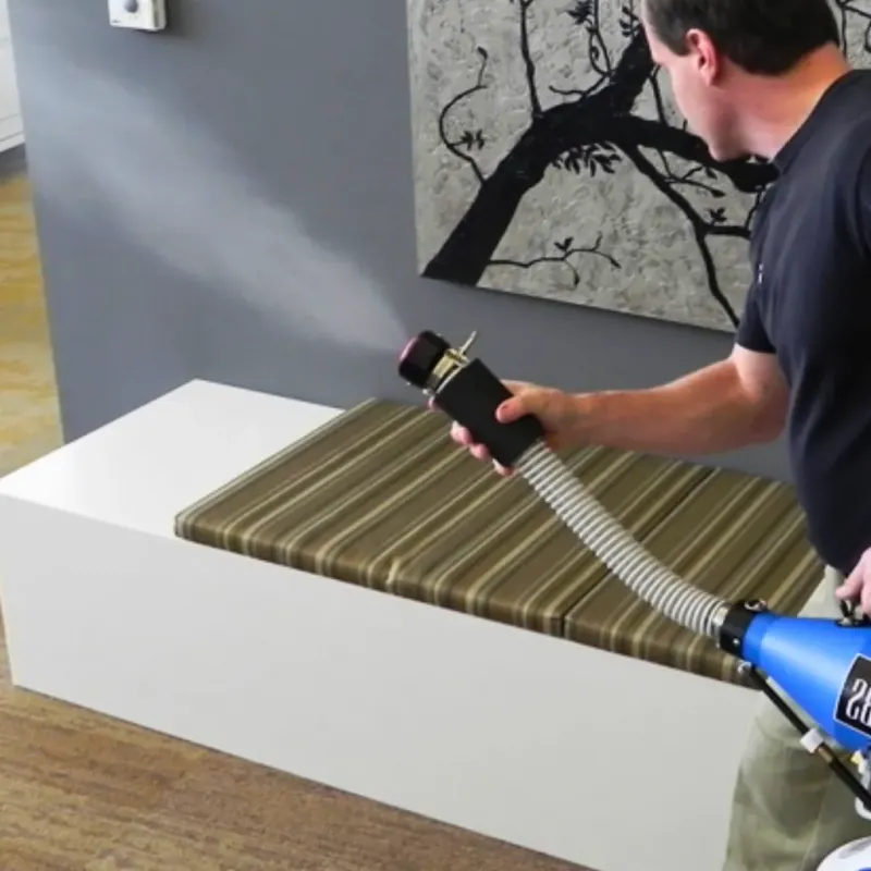 Professional Odor Removal in Lake Sarasota, FL